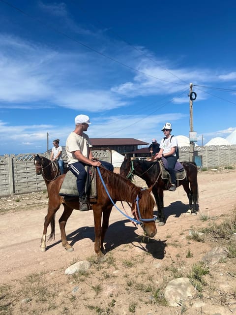 Horse-riding, group of guests