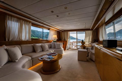 Natural landscape, TV and multimedia, Living room, Seating area, Mountain view, Sea view