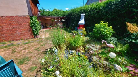 Property building, Garden, Garden view