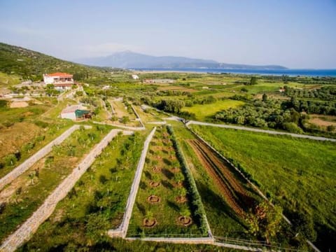 Villa Agnadio Mykalis Condo in Samos Prefecture