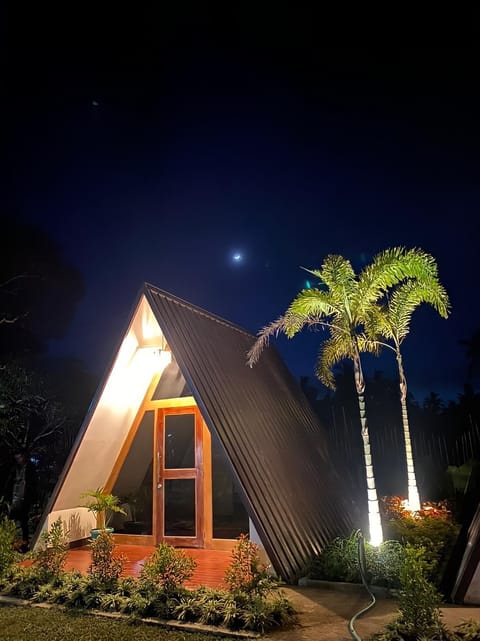 Property building, Night, Garden, Garden view