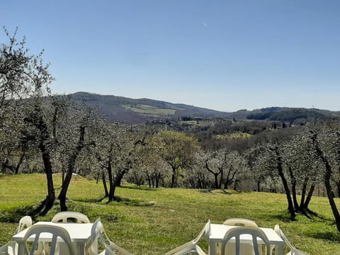 Spring, Natural landscape, Dining area, Garden view