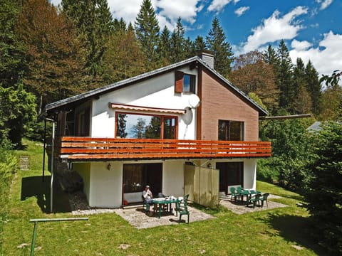 Haus Elisabeth - Fewo Freiburg, 1 Schlafzimmer, Feldberg nahe Skipiste Apartment in Baden-Württemberg