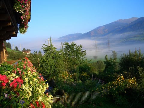 Day, Summer, Garden view, Garden view, Mountain view, Mountain view