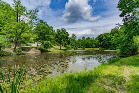 Modern Cabin w Hot Tub, Pond, Deck, Fire Pit, WiFi House in Shenandoah Valley