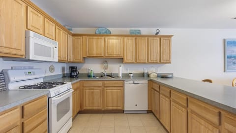 509 E 15th Ave, Unit F Condo in North Wildwood