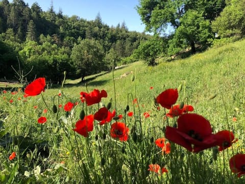 Logement calme avec vue sur le Luberon Apartment in Apt