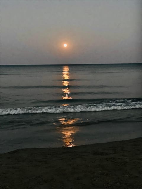 Beach, Sunset