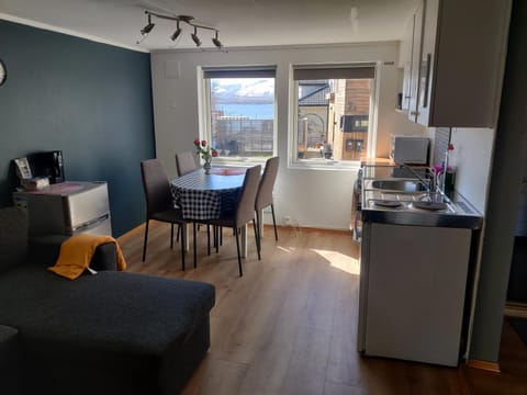 FeelHome small 1 bedroom apartment Polar vegen Apartment in Tromso