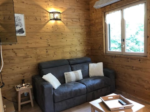 Chalet rénové, cozy et bien équipé avec jardin - Proche Golf et Navette gratuite Pra-Loup - FR-1-165A-145 Chalet in Barcelonnette