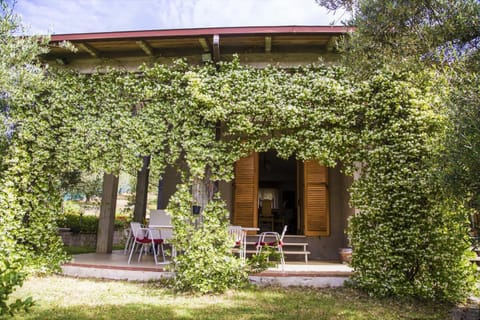 Patio, Garden