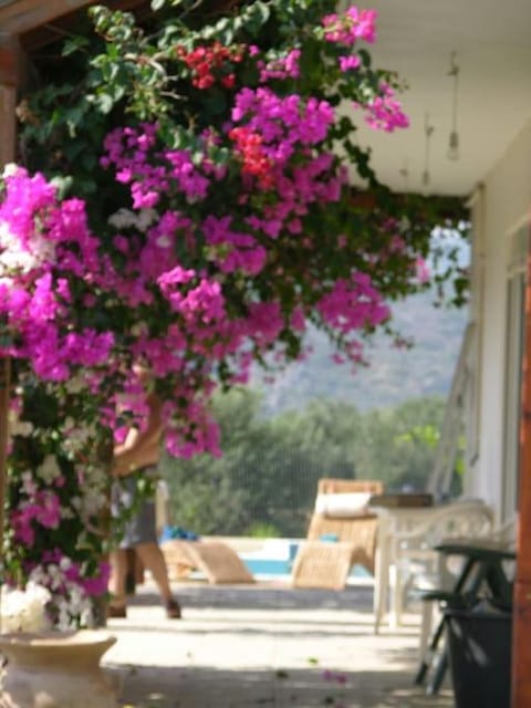 Villa Frangipani with large private pool, Rhodes Villa in Lardos