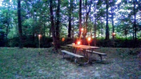 Echo Valley Outdoor Oasis Campsite Country House in Cookeville
