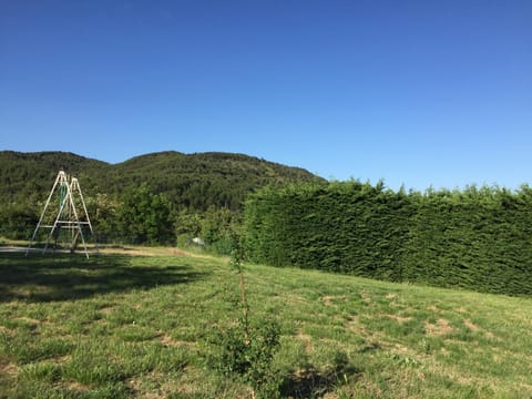 Garden, Garden view, Mountain view