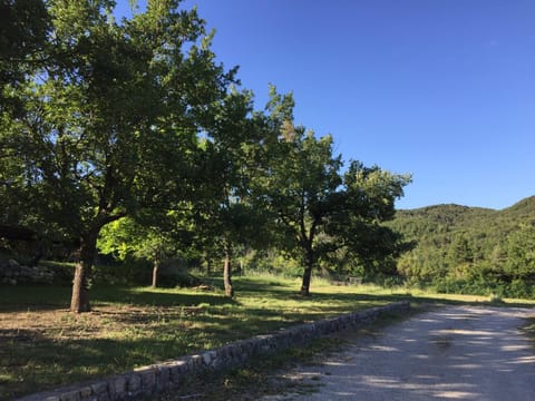 Garden, Garden view