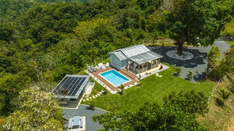 Property building, Natural landscape, Bird's eye view, Garden, Garden view, Pool view, Swimming pool, sunbed