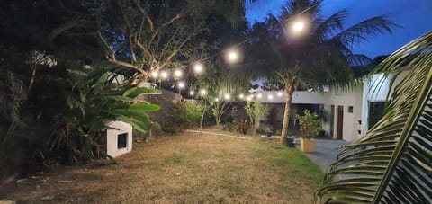 Night, Garden, Garden, Garden view, Parking