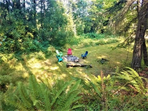 PA West Side Paradise House in Port Angeles