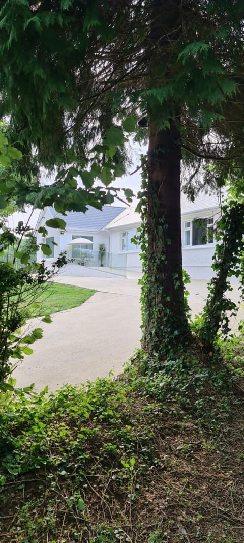 Property building, Garden, Garden view