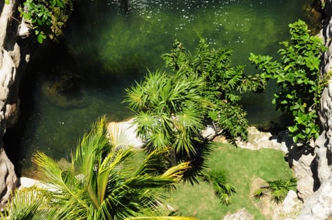 Natural landscape, Bird's eye view, View (from property/room), Decorative detail