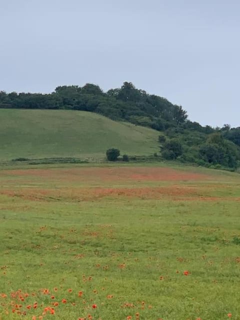 Romantic Shepherds hut with stunning sunsets House in Borough of Swale