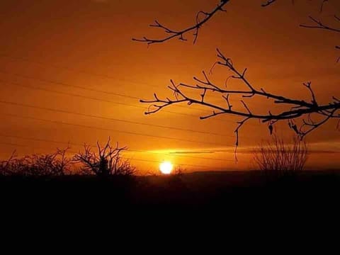 Romantic Shepherds hut with stunning sunsets House in Borough of Swale