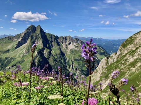 Natural landscape, Mountain view