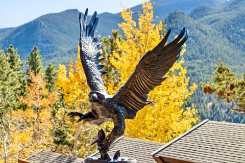 Eagle's Providence Vacation Home at Windcliff home House in Estes Park