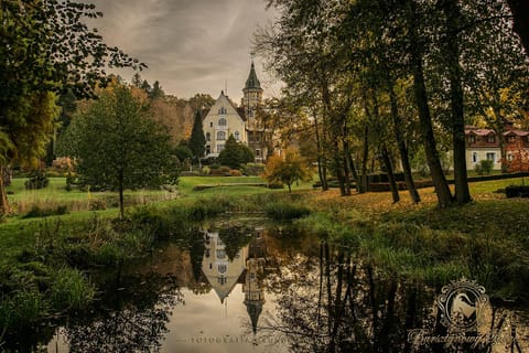 Natural landscape, Garden, Garden view