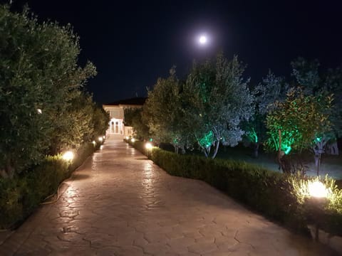 Property building, Garden, Garden view