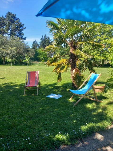 Patio, Garden, Garden view