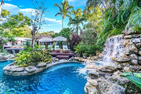 Tropical Jungle Pool Oasis Haus in Wilton Manors