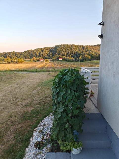 House of the Rising Sun House in Brod-Posavina County, Croatia