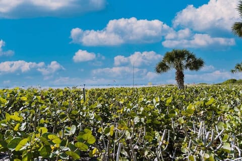 Enjoy Siesta Key Parasdise at Gulf and Bay Apartment in Siesta Beach