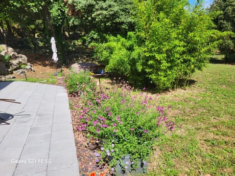 Natural landscape, Garden view