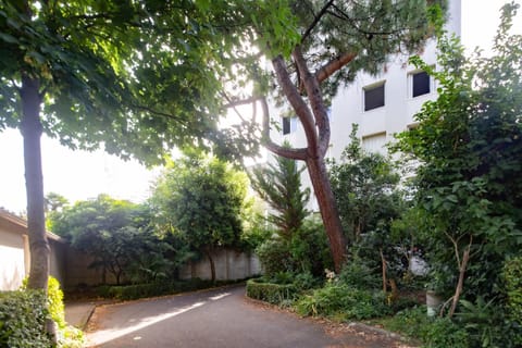 Garden, View (from property/room)