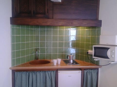 Coffee/tea facilities, Kitchen or kitchenette, minibar, stove, toaster