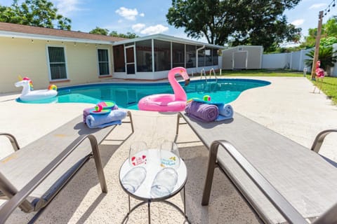 The Flamingo*4bed*pool*jacuzzi*foosball Haus in Valrico