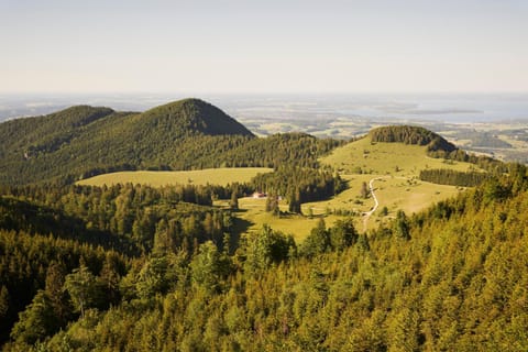 Natural landscape