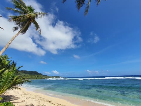 Natural landscape, Activities, Beach