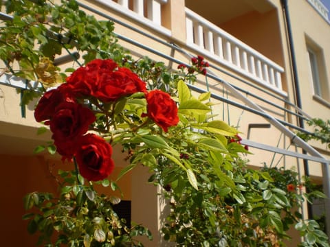 Balcony/Terrace, Garden view