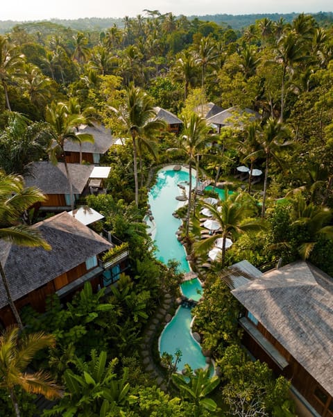 View (from property/room), Swimming pool