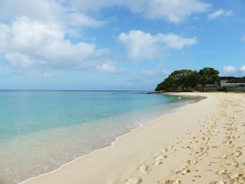 Beach, Area and facilities