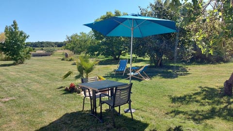 Natural landscape, Garden, Dining area