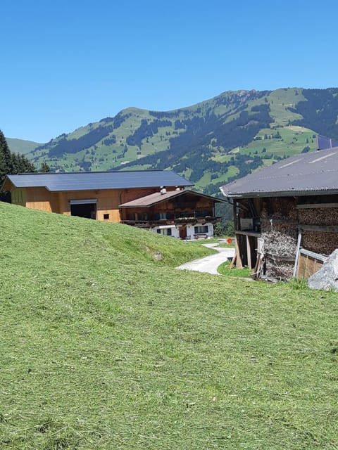Ferienwohnung Schatzhof Condominio in Kitzbuhel