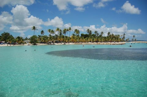 Natural landscape, Beach, Hiking