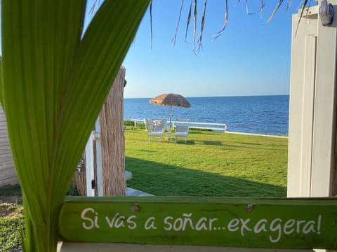 Garden, Beach, Sea view