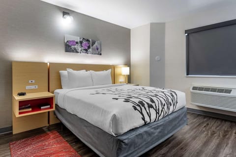 Sleep Inn & Suites Hotel in Idaho