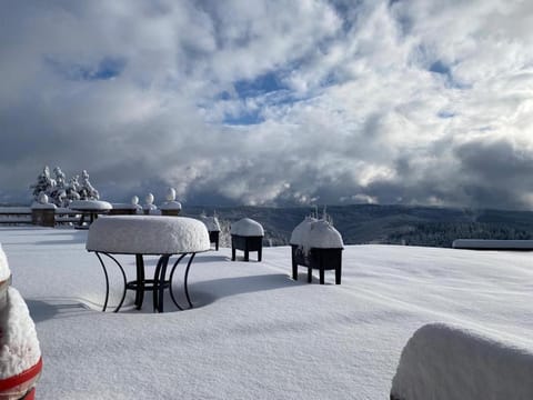 Berghotel Stutenhaus Hotel in Thuringia, Germany