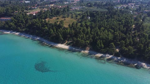 Cookoo Villas Villa in Halkidiki